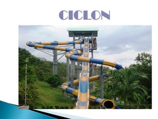 CICLON