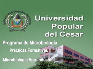 Programa de Microbiología
   Prácticas Formativas

Microbiología Agroindustrial
 