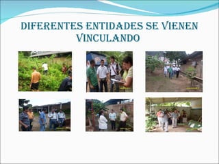 Diferentes entidades se vienen vinculando  