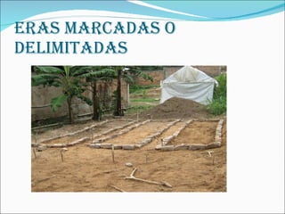 ERAS MARCADAS O DELIMITADAS 