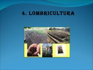 4. LOMBRICULTURA 