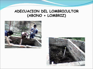 ADECUACION DEL LOMBRICULTOR  ( ABONO + LOMBRIZ) 
