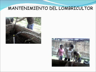 MANTENIMIENTO DEL LOMBRICULTOR 