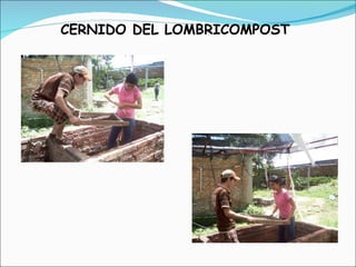 CERNIDO DEL LOMBRICOMPOST 