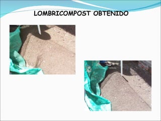 LOMBRICOMPOST OBTENIDO 
