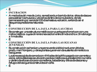   INCUBACION A mediados del mes de Junio, se realizará un barrido de los  sitos de desove para extraer los huevos y ubicarlos dentro de la incubadora, donde permanecerán por cerca de 100 días hasta su eclosión, evitando así el ataque los predadores naturales.   CONSTRUCCION DE LA JAULA PARA LAS CRIAS Se construye  una estructura metálica con puerta para forrarla en con una malla metálica  cuyas dimensiones oscilan entre 2m de ancho x 3m de largo x 1m de alto.   CONSTRUCCIÓN DE LA JAULA PARA LAS IGUANAS JUVENILES Su construcción se hará en una zona verde visible involucren árboles, prado, maní forrajero, y otras plantas que sirvan de sustento alimenticio a las iguanas. La zona escogida de cerrará con 4 hiladas de ladrillo pegado con cemento y arena, sobre esta base se ubicarán parales metálicos que sostendrán la malla y dentro de ella se ubicaran comederos, bebederos y sitios de descanso y refugio de las iguana construidos en caña.   