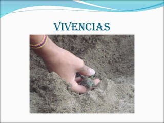 VIVENCIAS 