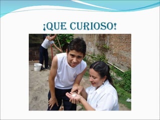 ¡QUE CURIOSO! 
