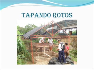 TAPANDO ROTOS 