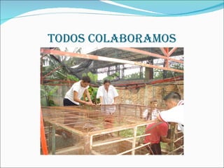 TODOS COLABORAMOS 