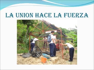 LA UNION HACE LA FUERZA 