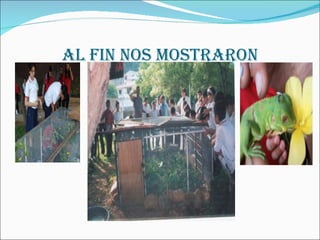 AL FIN NOS MOSTRARON 