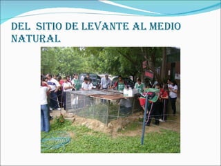 DEL  SITIO DE LEVANTE AL MEDIO NATURAL 