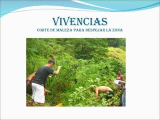 VIVENCIAS CORTE DE MALEZA PARA DESPEJAR LA ZONA 