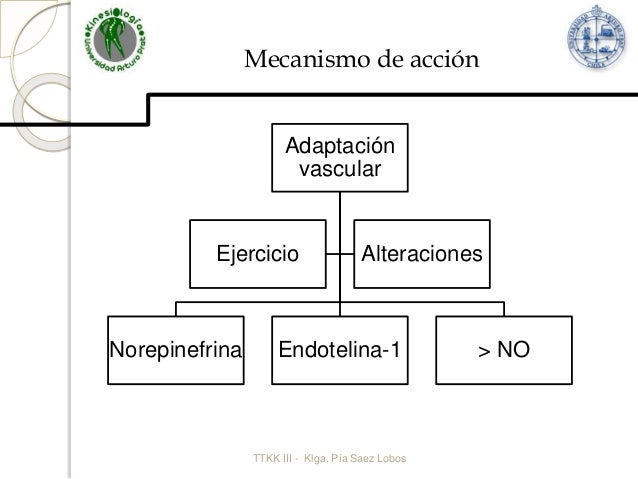 Prescripcion de ejercicio fisico en Hipertension Prescripcion de ejercicio fisico en Hipertension