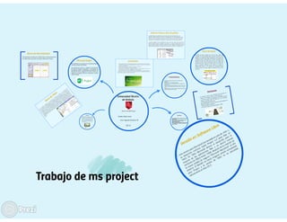 MS Project 