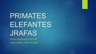 PRIMATES
ELEFANTES
JRAFAS
KEVIN HERNÁNDEZ MACÍAS
LUIS MANUEL CRUZ MATÍNEZ
 