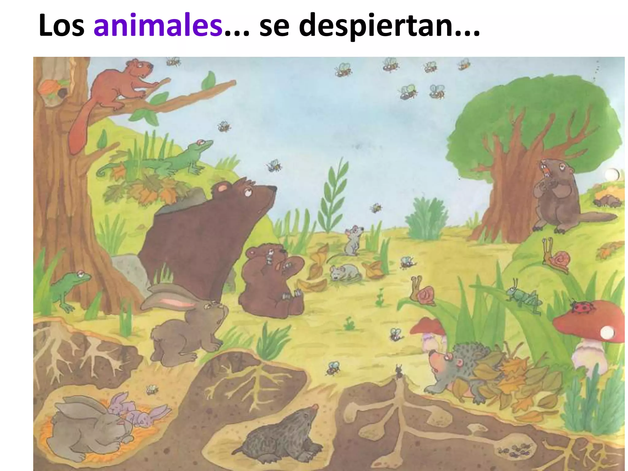 Los animales... se despiertan...