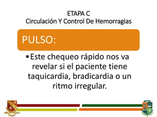 ETAPA C
Circulación Y Control De Hemorragias
PULSO:
•Este chequeo rápido nos va
revelar si el paciente tiene
taquicardia, bradicardia o un
ritmo irregular.
 