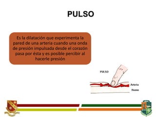 PULSO
Es la dilatación que experimenta la
pared de una arteria cuando una onda
de presión impulsada desde el corazón
pasa por ésta y es posible percibir al
hacerle presión
 