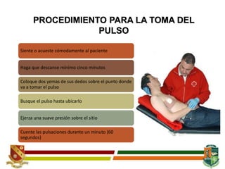 PROCEDIMIENTO PARA LA TOMA DEL
PULSO
Siente o acueste cómodamente al paciente
Haga que descanse mínimo cinco minutos
Coloque dos yemas de sus dedos sobre el punto donde
va a tomar el pulso
Busque el pulso hasta ubicarlo
Ejerza una suave presión sobre el sitio
Cuente las pulsaciones durante un minuto (60
segundos)
 