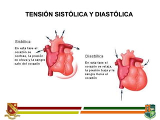TENSIÓN SISTÓLICA Y DIASTÓLICA
 