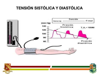 TENSIÓN SISTÓLICA Y DIASTÓLICA
 