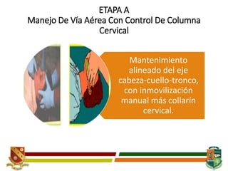 ETAPA A
Manejo De Vía Aérea Con Control De Columna
Cervical
Mantenimiento
alineado del eje
cabeza-cuello-tronco,
con inmovilización
manual más collarín
cervical.
 
