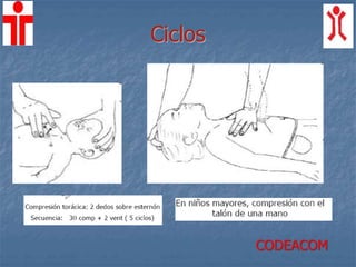 Ciclos
CODEACOM
 