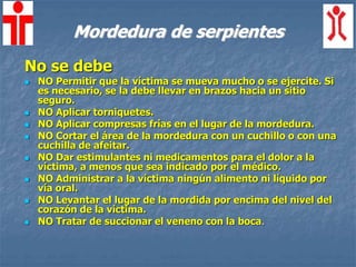 No se debe
 NO Permitir que la víctima se mueva mucho o se ejercite. Si
es necesario, se la debe llevar en brazos hacia un sitio
seguro.
 NO Aplicar torniquetes.
 NO Aplicar compresas frías en el lugar de la mordedura.
 NO Cortar el área de la mordedura con un cuchillo o con una
cuchilla de afeitar.
 NO Dar estimulantes ni medicamentos para el dolor a la
víctima, a menos que sea indicado por el médico.
 NO Administrar a la víctima ningún alimento ni líquido por
vía oral.
 NO Levantar el lugar de la mordida por encima del nivel del
corazón de la víctima.
 NO Tratar de succionar el veneno con la boca.
Mordedura de serpientes
 
