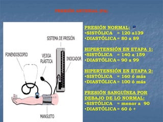 PRESIÓN ARTERIAL (PA)
PRESIÓN NORMAL:
•SISTÓLICA = 120 a139
•DIASTÓLICA = 80 a 89
HIPERTENSIÓN EN ETAPA 1:
•SISTÓLICA = 140 a 159
•DIASTÓLICA = 90 a 99
HIPERTENSIÓN EN ETAPA 2:
•SISTÓLICA = 160 ó más
•DIASTÓLICA = 100 ó más
PRESIÓN SANGUÍNEA POR
DEBAJO DE LO NORMAL:
•SISTÓLICA = menor a 90
•DIASTÓLICA = 60 ó +
 