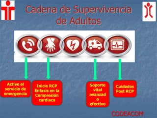 Cadena de Supervivencia
de Adultos
Active el
servicio de
emergencia
Inicie RCP
Énfasis en la
Compresión
cardiaca
Soporte
vital
avanzad
o
efectivo
Cuidados
Post RCP
CODEACOM
 