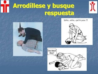 Arrodíllese y busque
respuesta
 
