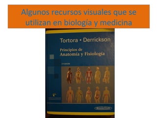 Algunos recursos visuales que se
 utilizan en biología y medicina
 