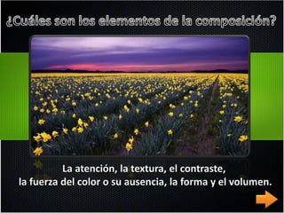 La atención, la textura, el contraste,
la fuerza del color o su ausencia, la forma y el volumen.