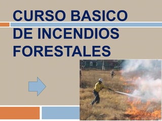 CURSO BASICO
DE INCENDIOS
FORESTALES
 