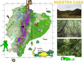 Presentacion problemática amazónica zanja arajuno