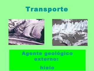 Transporte Agente geológico externo:  hielo 
