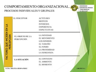 COMPORTAMIENTO ORGANIZACIONAL / PROCESOS INDIVIDUALES Y GRUPALES