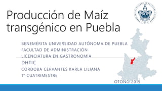 Producción de Maíz
transgénico en Puebla
BENEMÉRITA UNIVERSIDAD AUTÓNOMA DE PUEBLA
FACULTAD DE ADMINISTRACIÓN
LICENCIATURA EN GASTRONOMÍA
DHTIC
CORDOBA CERVANTES KARLA LILIANA
1° CUATRIMESTRE
OTOÑO 2015
 