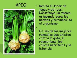 APIO   • Realza el sabor de
         jugos y batidos.
         Constituye un tónico
         estupendo para los
         nervios y remineraliza
         el organismo.
       •
         Es uno de los mejores
         remedios que existen
         contra la gota, el
         reumatismo, los
         cólicos nefríticos y la
         ictericia.
 