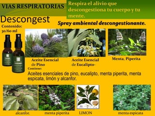 DescongestContenido:
30/60 ml
Contiene:
Aceites esenciales de pino, eucalipto, menta piperita, menta
espicata, limón y alcanfor.
Respira el alivio que
descongestiona tu cuerpo y tu
mente.
Spray ambiental descongestionante.
VIAS RESPIRATORIAS
Aceite Esencial
de Pino
Aceite Esencial
de Eucalipto-
Menta, Piperita
menta piperita menta espicataLIMONalcanfor.
 