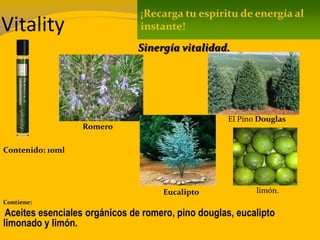 Vitality
Contenido: 10ml
Contiene:
Aceites esenciales orgánicos de romero, pino douglas, eucalipto
limonado y limón.
¡Recarga tu espíritu de energía al
instante!
Sinergía vitalidad.
Romero
El Pino Douglas
Eucalipto limón.
 