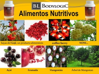 Alimentos Nutritivos
bayas del Goji, un producto alimenticio NONI...coffee berry
Açaí Granada Mangostán Árbol de Mangostan
 