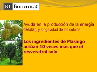 Ayuda en la producción de la energía
celular, y longevidad de las células.
Los ingredientes de Masaigo
actúan 10 veces más que el
resveratrol solo.
 
