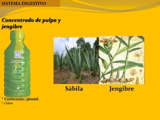 * Contenido: 960ml.
* 1 Litro
SISTEMA DIGESTIVO
Concentrado de pulpa y
jengibre
Sábila Jengibre
 