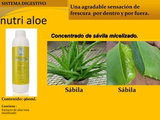 nutri aloe
Una agradable sensación de
frescura por dentro y por fuera.
Contenido: 960ml.
Contiene :
Extracto de aloe vera
micelizado
Concentrado de sávila micelizado.
SISTEMA DIGESTIVO
SábilaSábila
 