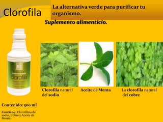 Clorofila
La alternativa verde para purificar tu
organismo.
Contenido: 500 ml
Contiene: Clorofilina de
sodio, Cobre y Aceite de
Menta.
Suplemento alimenticio.
Clorofila natural
del sodio
La clorofila natutal
del cobre
Aceite de Menta
 