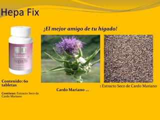 Hepa Fix
¡El mejor amigo de tu hígado!
Contenido: 60
tabletas
Contiene: Extracto Seco de
Cardo Mariano
Cardo Mariano ...
: Extracto Seco de Cardo Mariano
 