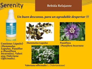 Serenity Bebida Relajante
Contiene: Lúpulo)
(Hummulus
Lupulus, Passiflor
a (Passiflora
Incarnata), Valeri
ana (Valeriana
Officinalis).
Un buen descanso, para un agradable despertar !!!
Hummulus Lupulus Passiflora
(Passiflora Incarnata
Valeriana officinalis L. (Valerianáceas)
 